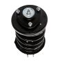 PRT PERFORMANCE RIDE 817248 PRT Complete Strut Assembly