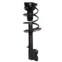PRT PERFORMANCE RIDE 817250 PRT Complete Strut Assembly