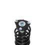 PRT PERFORMANCE RIDE 817896 PRT Complete Strut Assembly