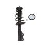 PRT PERFORMANCE RIDE 818031 PRT Complete Strut Assembly