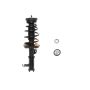 PRT PERFORMANCE RIDE 818032 PRT Complete Strut Assembly