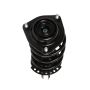 PRT PERFORMANCE RIDE 818065 PRT Complete Strut Assembly
