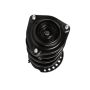 PRT PERFORMANCE RIDE 818066 PRT Complete Strut Assembly