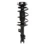 PRT PERFORMANCE RIDE 818066 PRT Complete Strut Assembly
