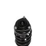 PRT PERFORMANCE RIDE 818124 PRT Complete Strut Assembly