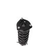 PRT PERFORMANCE RIDE 818181 PRT Complete Strut Assembly
