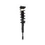 PRT PERFORMANCE RIDE 818181 PRT Complete Strut Assembly