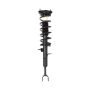 PRT PERFORMANCE RIDE 818181 PRT Complete Strut Assembly