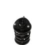 PRT PERFORMANCE RIDE 818183 PRT Complete Strut Assembly