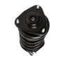 PRT PERFORMANCE RIDE 818185 PRT Complete Strut Assembly