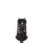 PRT PERFORMANCE RIDE 818188 PRT Complete Strut Assembly