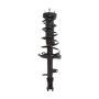 PRT PERFORMANCE RIDE 818188 PRT Complete Strut Assembly