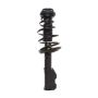 PRT PERFORMANCE RIDE 818198 PRT Complete Strut Assembly