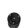 PRT PERFORMANCE RIDE 818206 PRT Complete Strut Assembly