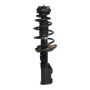 PRT PERFORMANCE RIDE 818221 PRT Complete Strut Assembly