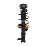 PRT PERFORMANCE RIDE 818222 PRT Complete Strut Assembly