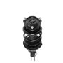PRT PERFORMANCE RIDE 818241 PRT Complete Strut Assembly