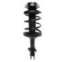PRT PERFORMANCE RIDE 818241 PRT Complete Strut Assembly