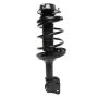 PRT PERFORMANCE RIDE 818241 PRT Complete Strut Assembly