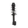PRT PERFORMANCE RIDE 818271 PRT Complete Strut Assembly