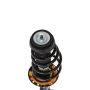 PRT PERFORMANCE RIDE 818279 PRT Complete Strut Assembly
