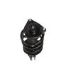 PRT PERFORMANCE RIDE 818282 PRT Complete Strut Assembly