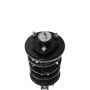 PRT PERFORMANCE RIDE 818290 PRT Complete Strut Assembly