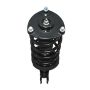 PRT PERFORMANCE RIDE 818298 PRT Complete Strut Assembly