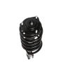 PRT PERFORMANCE RIDE 818303 PRT Complete Strut Assembly
