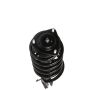 PRT PERFORMANCE RIDE 818304 PRT Complete Strut Assembly