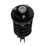 PRT PERFORMANCE RIDE 818306 PRT Complete Strut Assembly