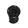PRT PERFORMANCE RIDE 818307 PRT Complete Strut Assembly