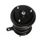 PRT PERFORMANCE RIDE 818309 PRT Complete Strut Assembly