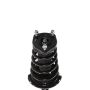 PRT PERFORMANCE RIDE 818316 PRT Complete Strut Assembly