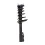 PRT PERFORMANCE RIDE 818316 PRT Complete Strut Assembly