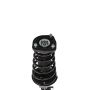 PRT PERFORMANCE RIDE 818328 PRT Complete Strut Assembly