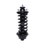 PRT PERFORMANCE RIDE 818562 PRT Complete Strut Assembly