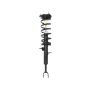 PRT PERFORMANCE RIDE 818563 PRT Complete Strut Assembly