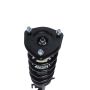 PRT PERFORMANCE RIDE 818564 PRT Complete Strut Assembly