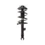 PRT PERFORMANCE RIDE 818580 PRT Complete Strut Assembly