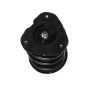 PRT PERFORMANCE RIDE 818587 PRT Complete Strut Assembly