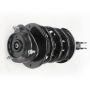 PRT PERFORMANCE RIDE 818589 PRT Complete Strut Assembly