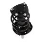 PRT PERFORMANCE RIDE 818594 PRT Complete Strut Assembly