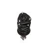 PRT PERFORMANCE RIDE 818596 PRT Complete Strut Assembly
