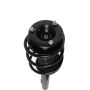 PRT PERFORMANCE RIDE 818607 PRT Complete Strut Assembly