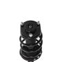 PRT PERFORMANCE RIDE 818610 PRT Complete Strut Assembly