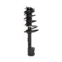 PRT PERFORMANCE RIDE 818610 PRT Complete Strut Assembly