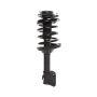 PRT PERFORMANCE RIDE 818612 PRT Complete Strut Assembly