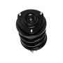PRT PERFORMANCE RIDE 818623 PRT Complete Strut Assembly