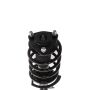 PRT PERFORMANCE RIDE 818625 PRT Complete Strut Assembly